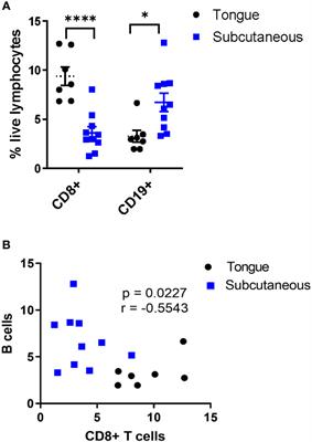 B cells as modulators of HPV+ oropharyngeal cancer in a preclinical model